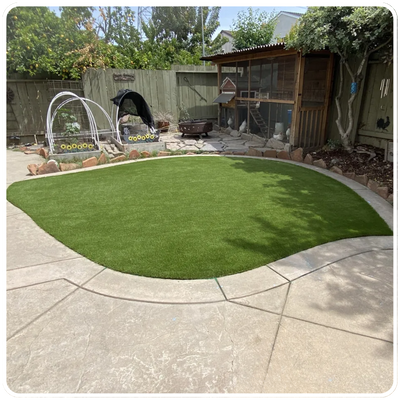 Low-Maintenance Backyard Designs