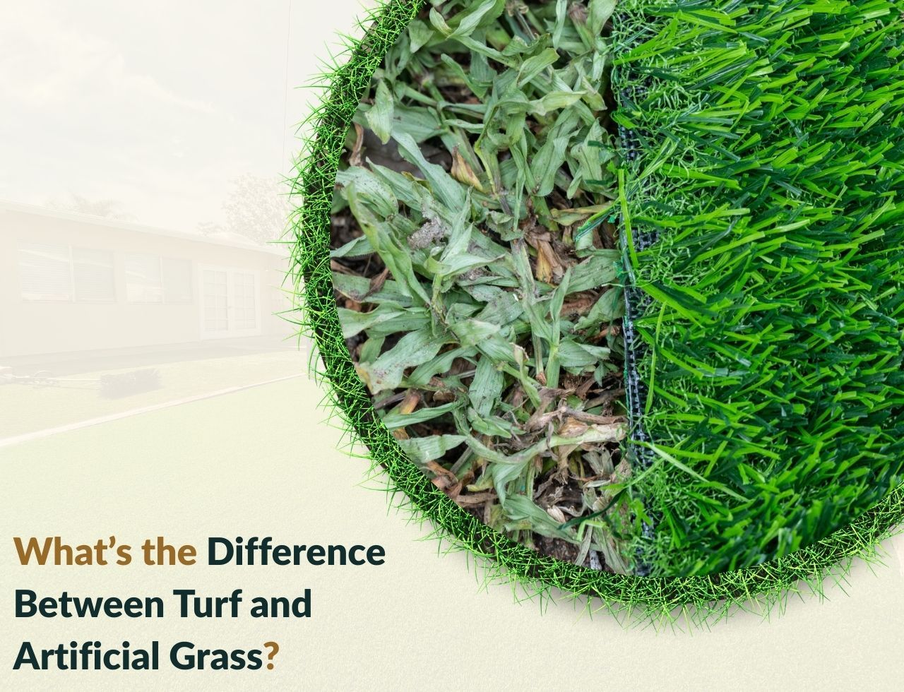 Side-by-side view comparing artificial grass and turf
