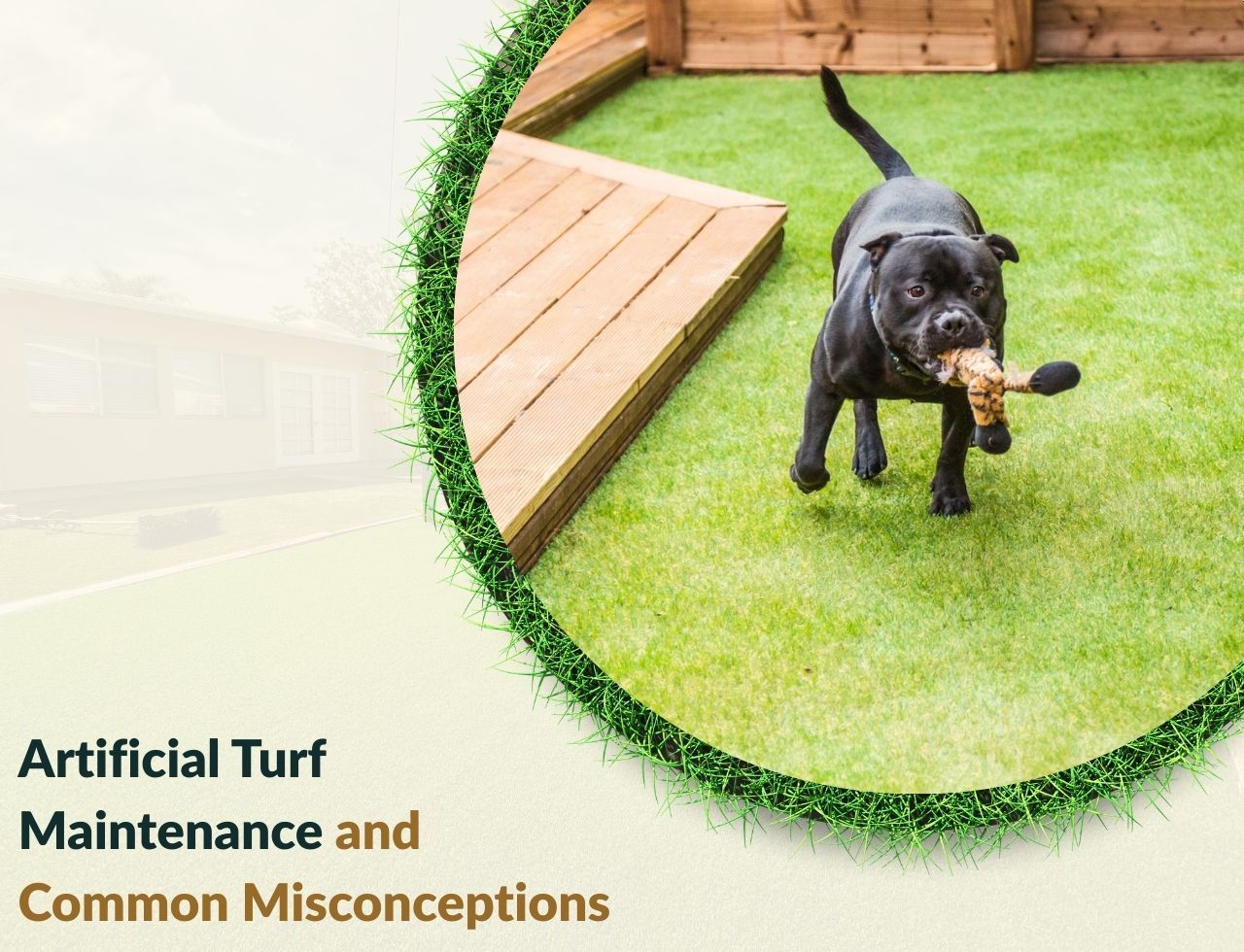 Clean artificial turf with dog area being maintained