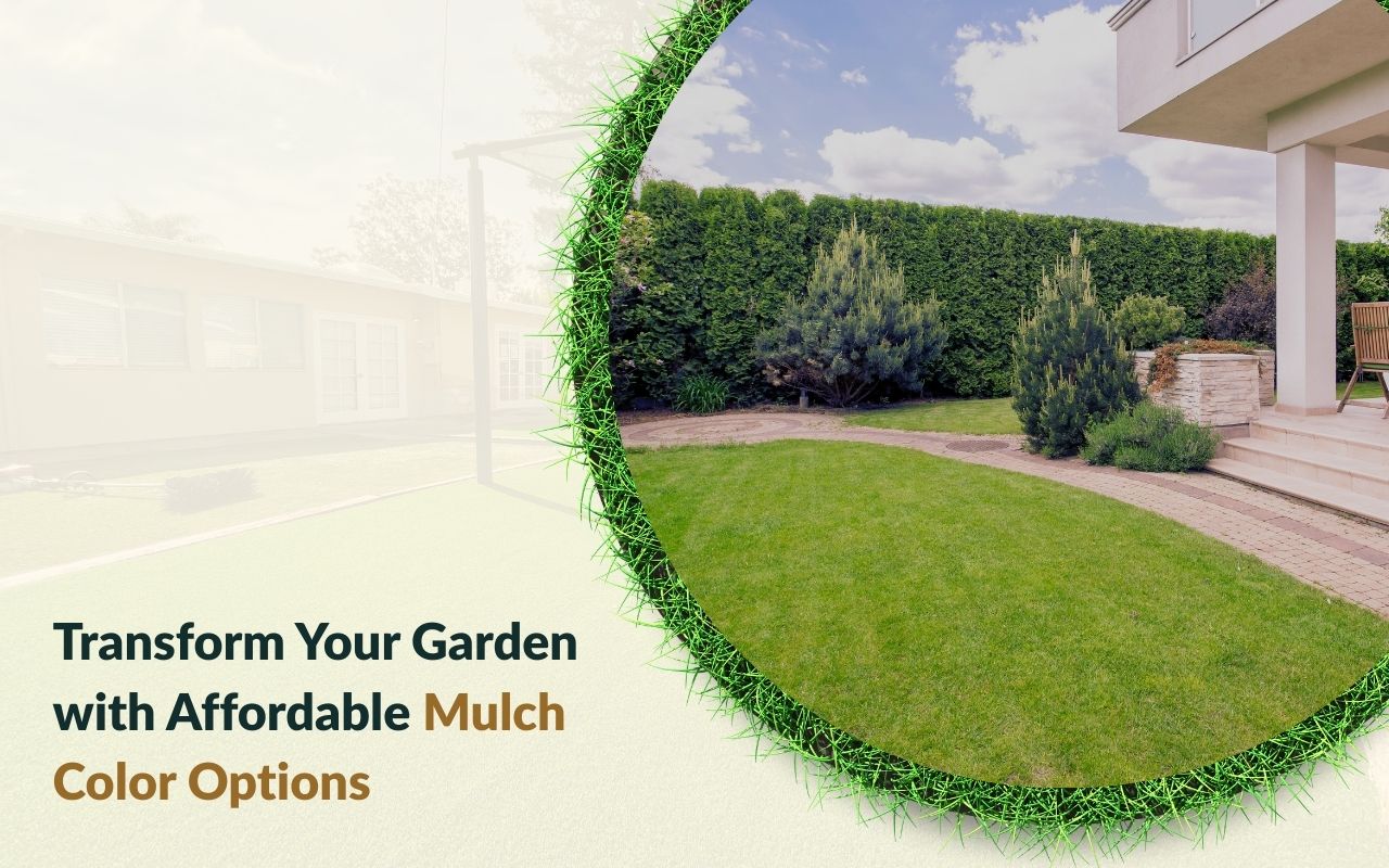 Colorful mulch enhancing garden design and plant contrast