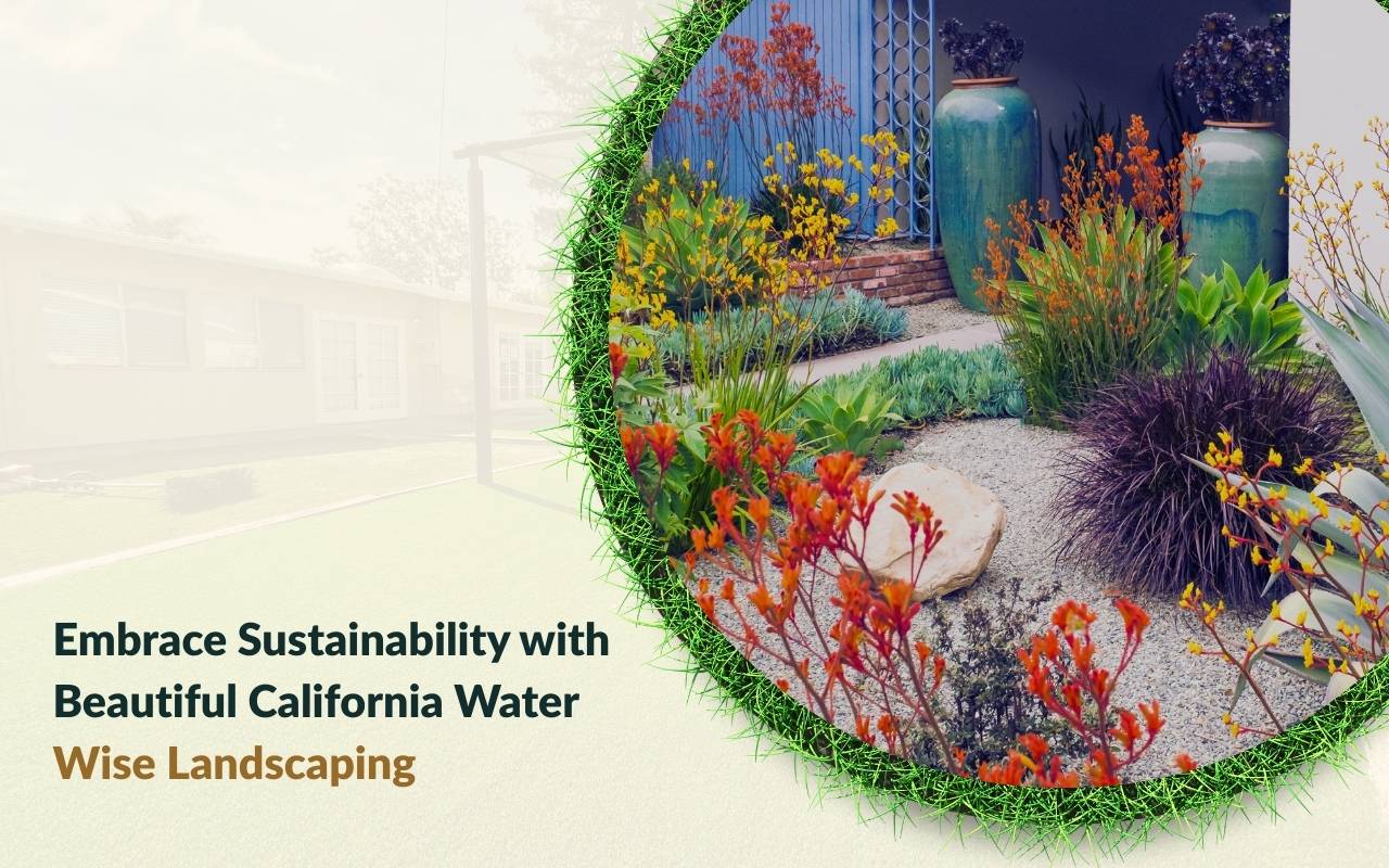 Beautiful California water wise landscaping garden with native plants