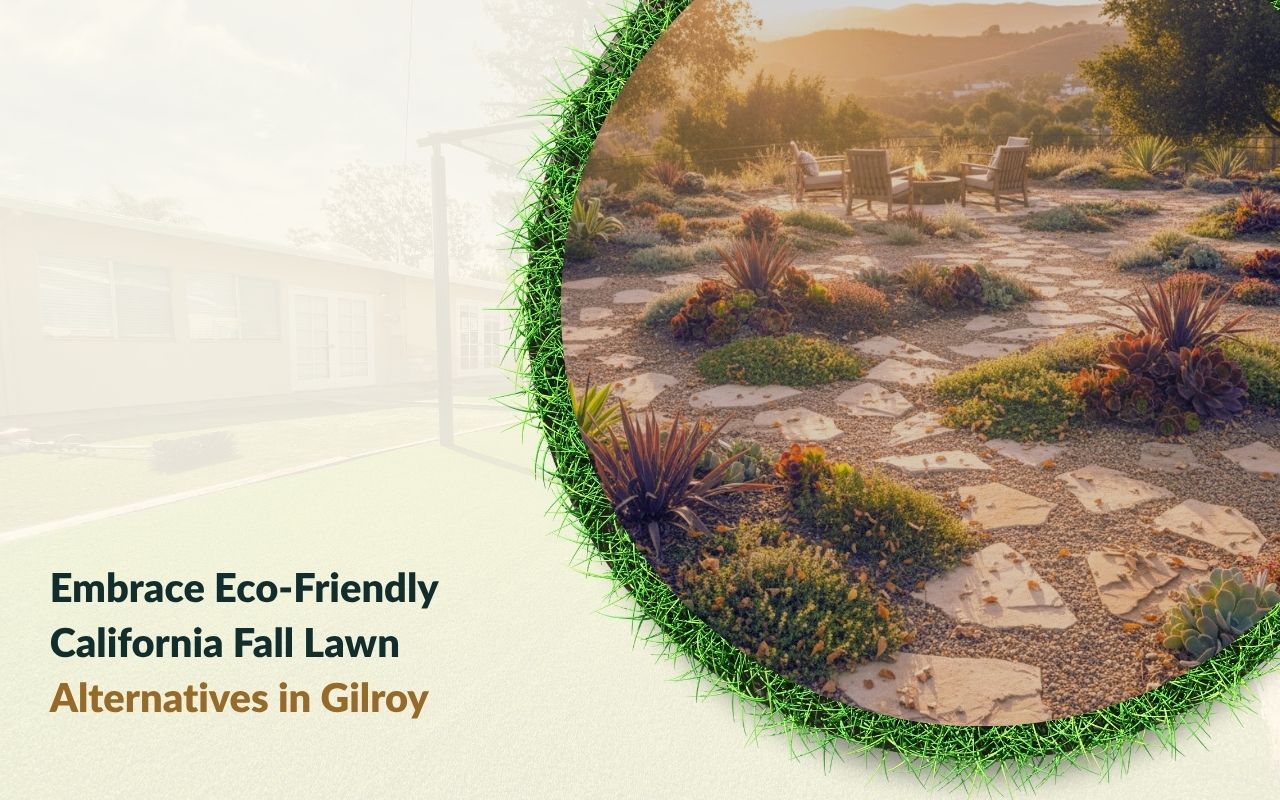 Native shrubs and flowers used as California Fall Lawn Alternatives in Gilroy for a colorful fall front yard.