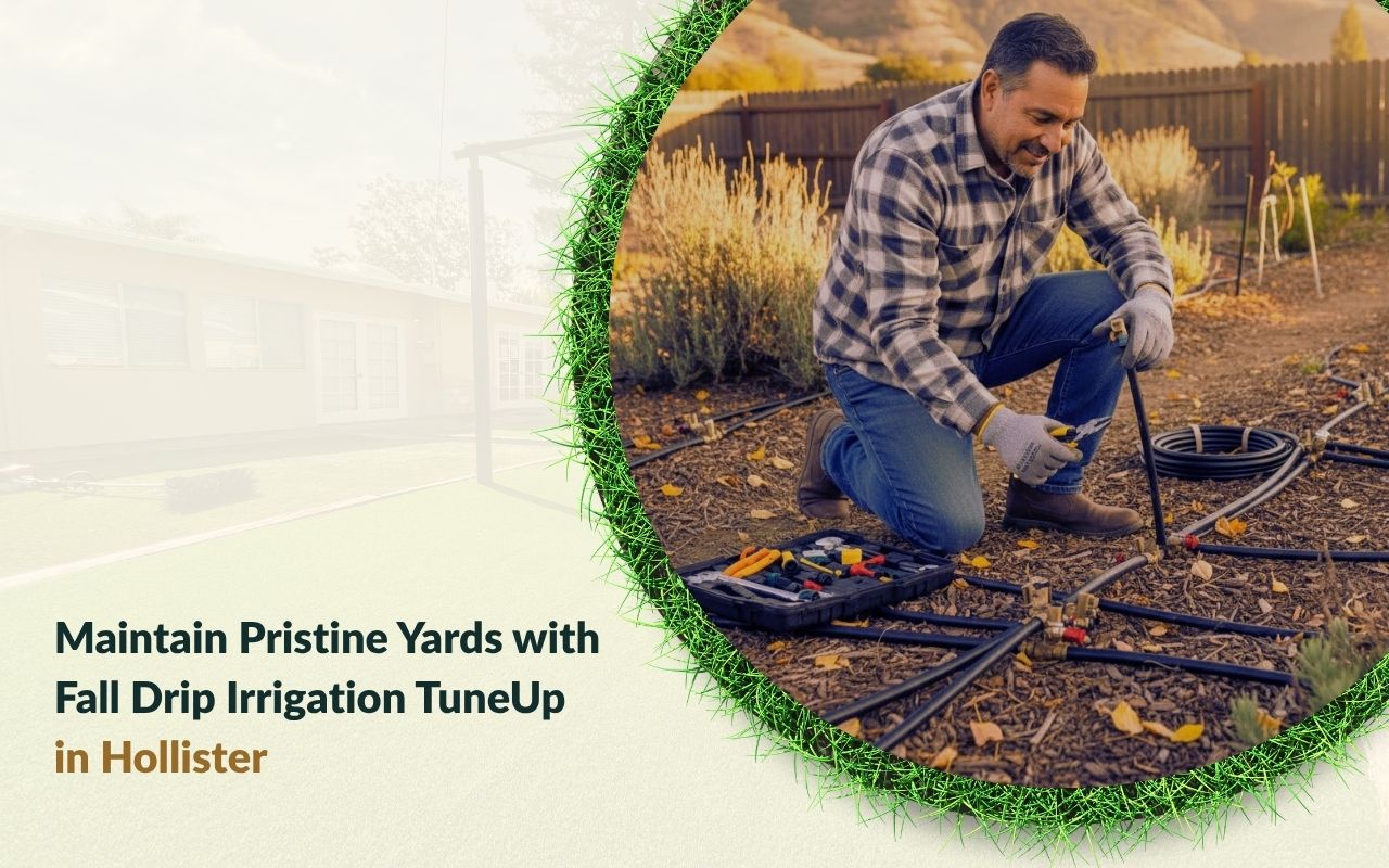 Technician doing a Fall Drip Irrigation Tune-Up in Hollister in a green backyard